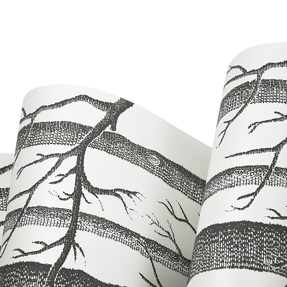 Wallpaper White Birch Tree Non - woven Wall Paper Roll - RnR Galore